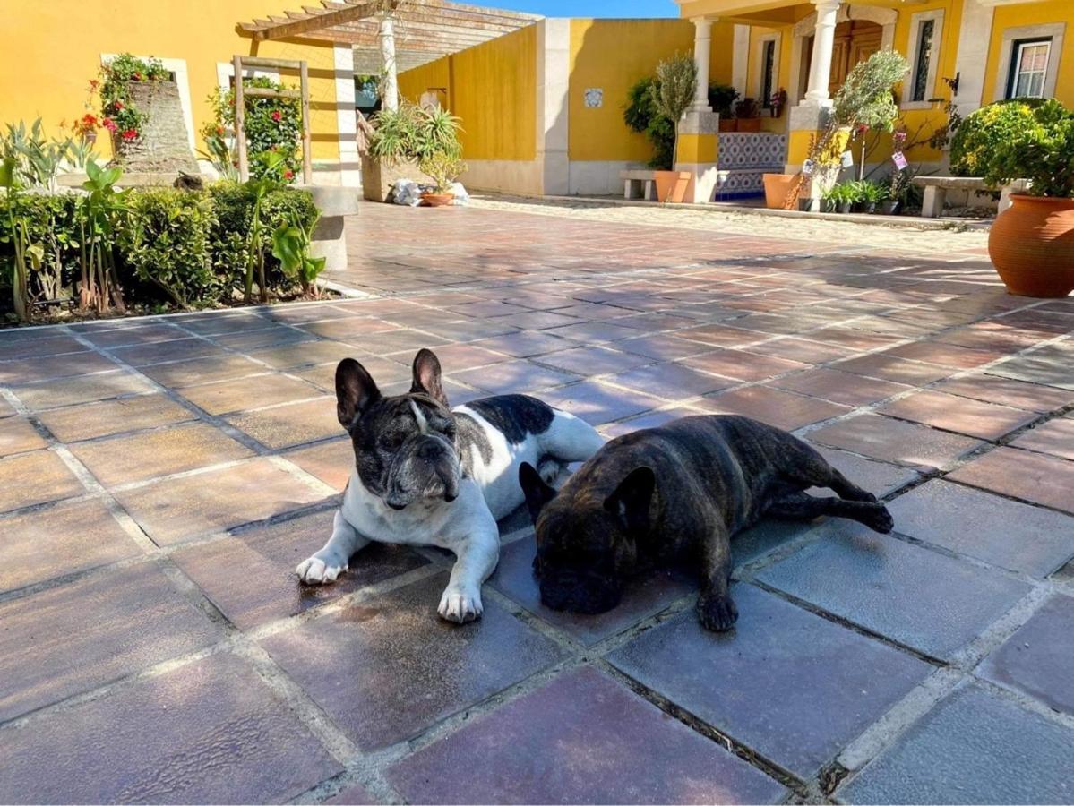 Charm Azenha Dobidos Farm Villa Olho Marinho Luaran gambar