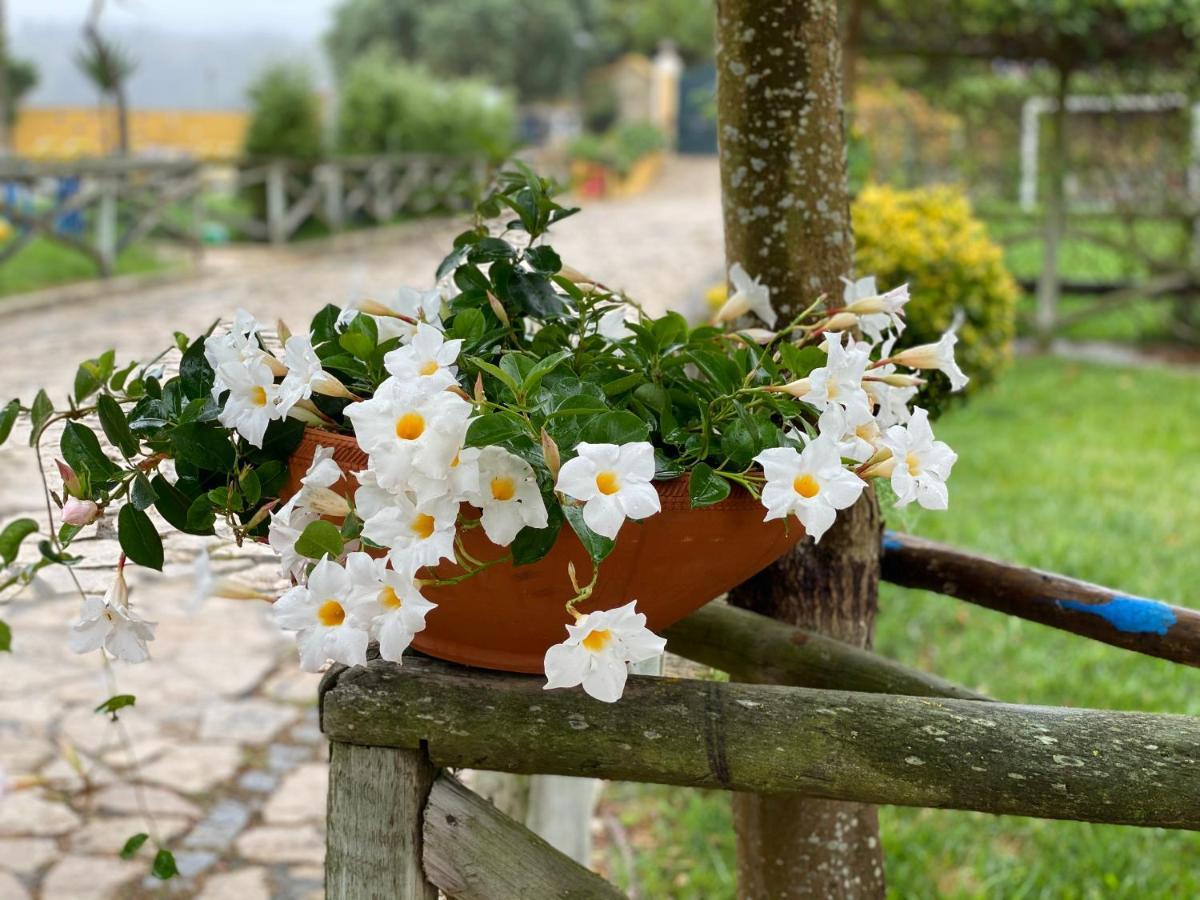 Charm Azenha Dobidos Farm Villa Olho Marinho Luaran gambar